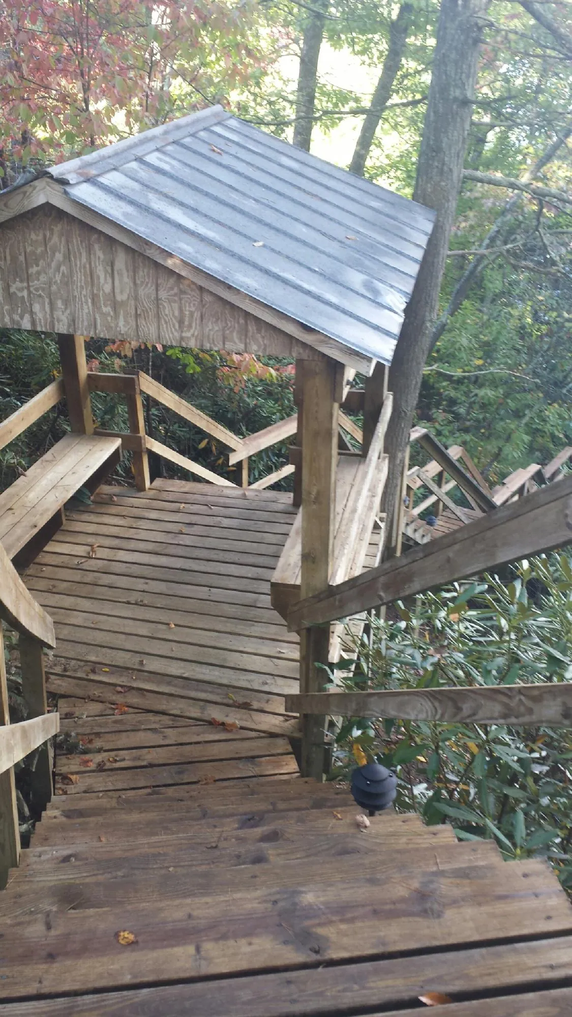 Metal roofed shelter over wooden steps on a wooded walkway — Skylight Repair & Installation work by our crew in Mill Creek