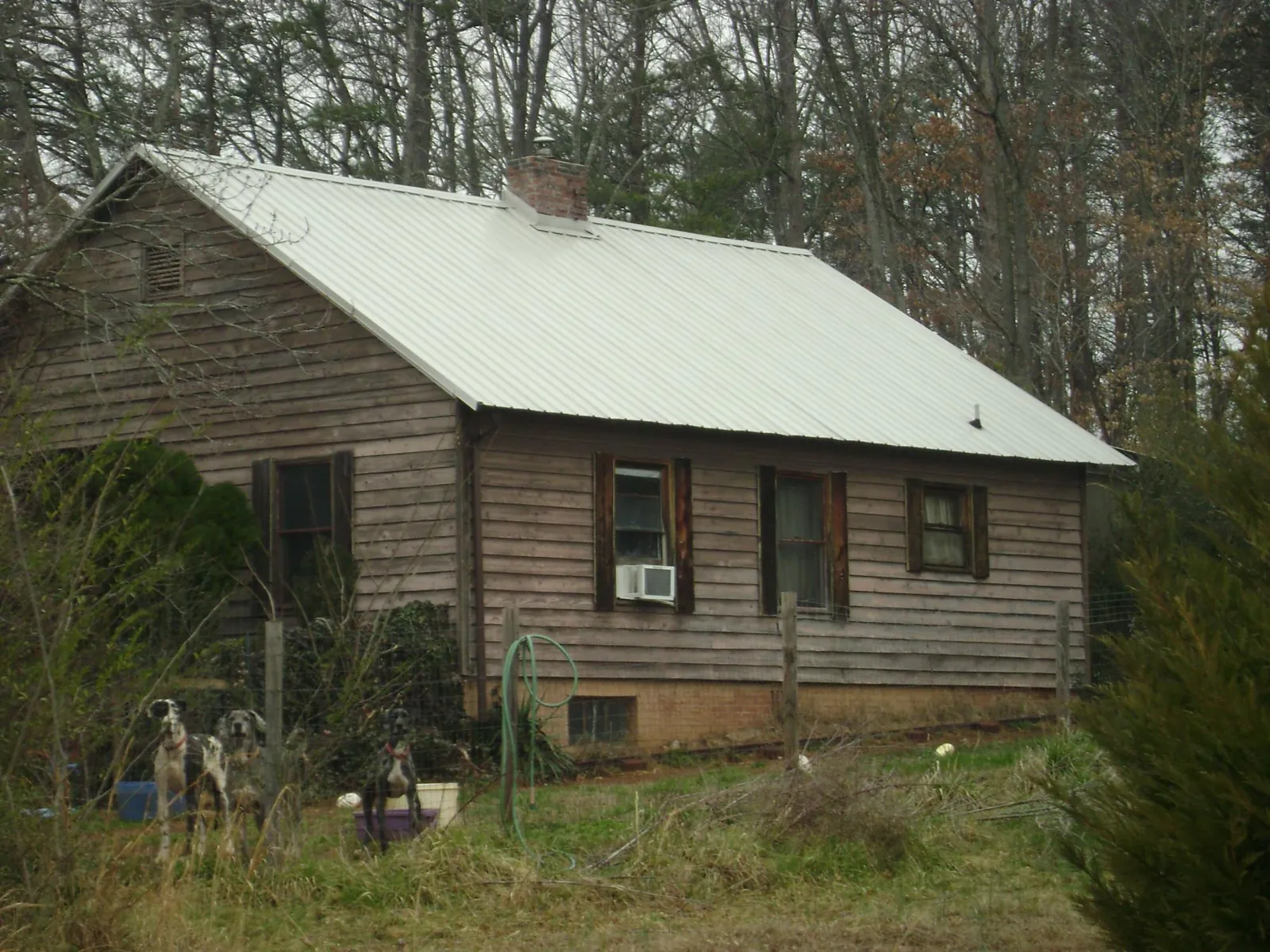 White metal roof on an old wood sided farmhouse, from a Metal Roof Installation job in Mill Creek